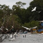 amazonia-soberana:-programa-vai-combater-crimes-em-areas-de-fronteira