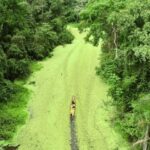governo-lanca-edital-para-captar-patrocinio-para-acoes-do-mes-do-meio-ambiente-2026
